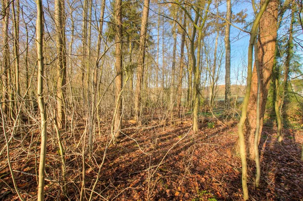 Huysewinkel | Exclusieve bouwgrond op toplocatie